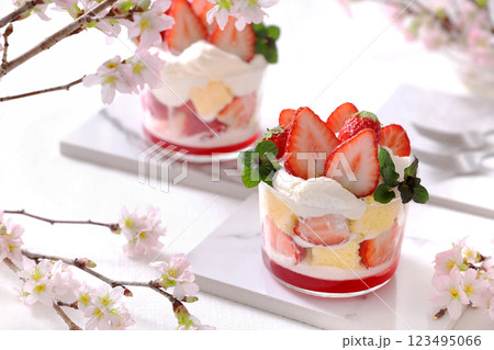 いちごのトライフル　お花見スイーツ 123495066
