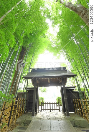 府中市　妙光院 123495590