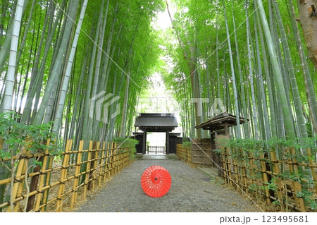 府中市妙光院 123495681