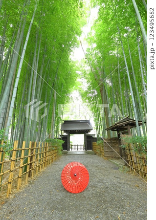 府中市妙光院 123495682