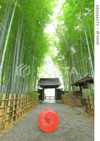 府中市妙光院 123495683