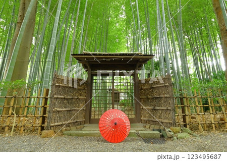 府中市妙光院 123495687