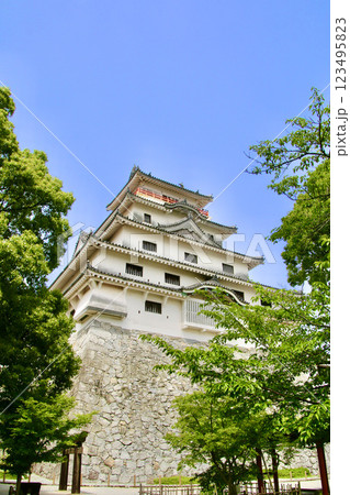 唐津城・天守閣(佐賀県・唐津市) 唐津城・天守閣(佐賀県・唐津市) 123495823