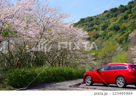 ドライブイメージ　桜 123495984