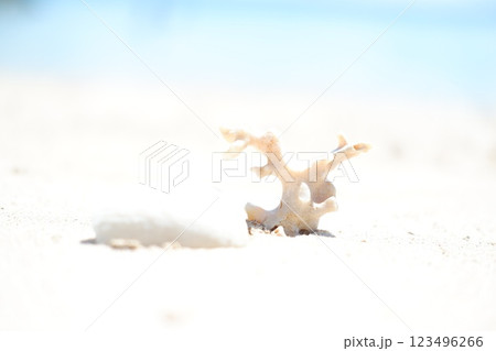 A Piece of Coral on White Sand A Piece of Coral on White Sand 123496266