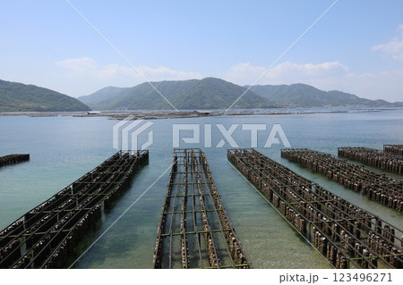 瀬戸内海と牡蠣漁 123496271