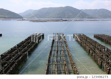 瀬戸内海と牡蠣漁 123496273
