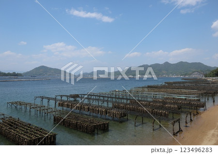 瀬戸内海と牡蠣漁 瀬戸内海と牡蠣漁 123496283