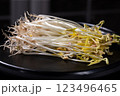 Light mung bean sprouts on a black plate 123496465