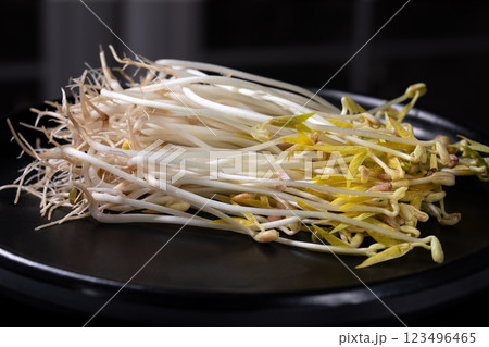 Light mung bean sprouts on a black plate 123496465