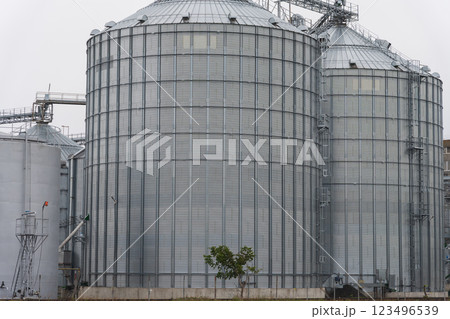 The agro-processing facility features several large silos designed for the storage of harvested grains, ensuring efficient management of agricultural produce 123496539