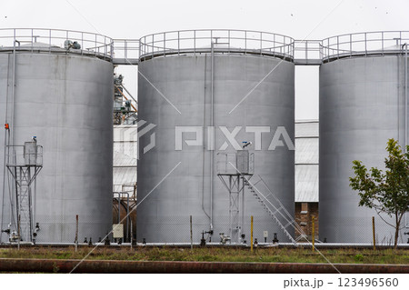 The agro-processing plant displays multiple silos used for storing harvested grains and provides facilities for cleaning and drying agricultural products The agro-processing plant displays multiple silos used for storing harvested grains and provides facilities for cleaning and drying agricultural products 123496560