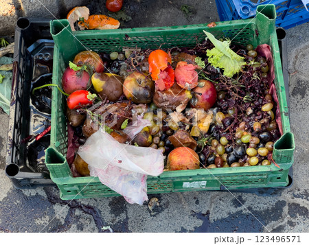 A green crate overflows with decayed fruits and vegetables, showcasing bright colors blended with rot, highlighting nature's impermanence and transformation A green crate overflows with decayed fruits and vegetables, showcasing bright colors blended with rot, highlighting nature's impermanence and transformation 123496571