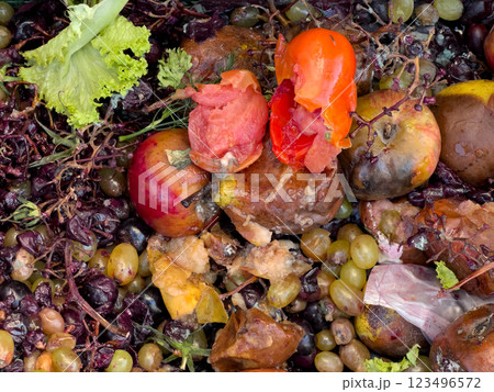 A rich array of decayed fruits and vegetables displays vibrant colors faded by the passage of time, highlighting nature's cycle of decay and renewal in a tranquil environment 123496572