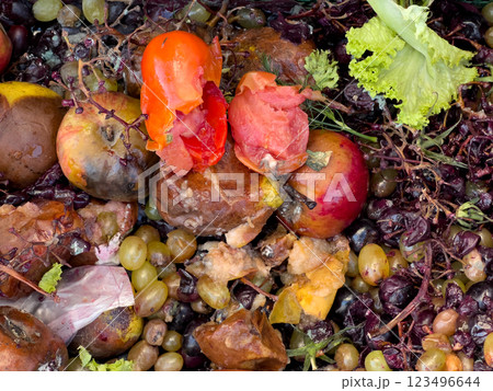 A collection of decayed fruits and vegetables showcases vibrant colors faded by rot. This scene reflects improper disposal and the natural process of decomposition 123496644