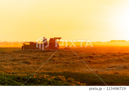 An agricultural harvester operates in a field, efficiently gathering crops as the sun sets, casting a warm glow over the landscape, highlighting the day's labor An agricultural harvester operates in a field, efficiently gathering crops as the sun sets, casting a warm glow over the landscape, highlighting the day's labor 123496729