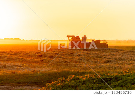 An agricultural harvester efficiently gathers crops in a vast field during sunset, casting a warm glow over the surrounding landscape. The machinery stands out against the horizon 123496730
