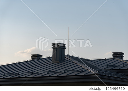 The roof showcases sleek metal tiles, creating a contemporary appearance. Two prominent chimneys rise from the structure, blending modern aesthetics with functionality 123496760