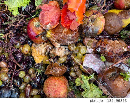 Decayed fruits and vegetables are piled together, showcasing vibrant yet spoiled produce. This recycling effort occurs during the fall, promoting sustainable waste management Decayed fruits and vegetables are piled together, showcasing vibrant yet spoiled produce. This recycling effort occurs during the fall, promoting sustainable waste management 123496858