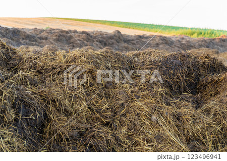 A bountiful compost pile rests in the field, where farmers enrich the soil using natural methods. The sun shines on the essential nutrients awaiting their transformative journey A bountiful compost pile rests in the field, where farmers enrich the soil using natural methods. The sun shines on the essential nutrients awaiting their transformative journey 123496941