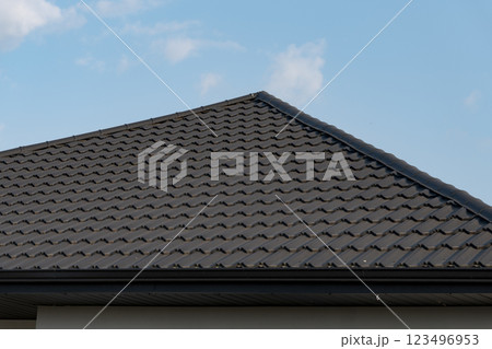 The sleek metal tiles of the roof reflect sunlight beautifully, enhancing the architectural elegance of the building against a bright, serene sky 123496953