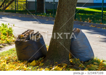 Two bags of garbage rest against a tree on a bright autumn day, surrounded by fallen leaves, emphasizing the importance of keeping public spaces clean and tidy Two bags of garbage rest against a tree on a bright autumn day, surrounded by fallen leaves, emphasizing the importance of keeping public spaces clean and tidy 123497109