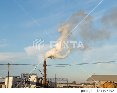 In the heart of a manufacturing district, thick smoke streams from tall chimneys, contrasting with the serene blue sky. It captures the essence of industrial activity and progress 123497152