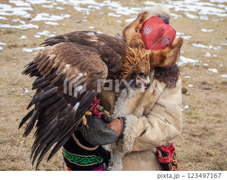 Portrait of a hunting golden eagle. 123497167
