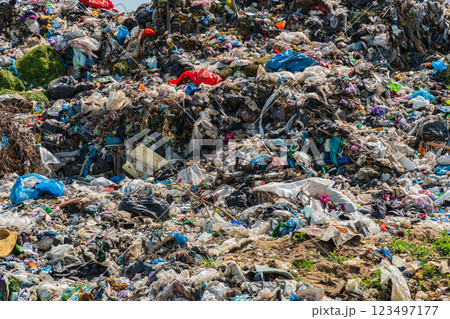Pile of domestic garbage in landfill dump site. Global environmental issue of waste disposal Pile of domestic garbage in landfill dump site. Global environmental issue of waste disposal 123497177