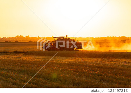 Harvester machine to harvest wheat. Combine harvester at harvest in the field. Agriculture image Harvester machine to harvest wheat. Combine harvester at harvest in the field. Agriculture image 123497218