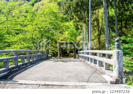 【重要伝統的建築物群保存地区】出石　初夏の諸杉神社の参道　兵庫県豊岡市 123497238