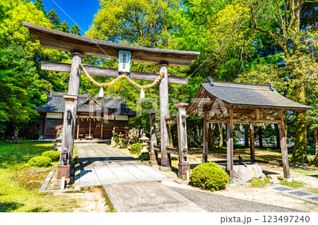 【重要伝統的建築物群保存地区】出石　初夏の諸杉神社の境内　兵庫県豊岡市 123497240