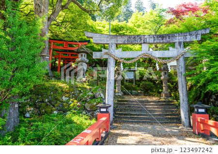 【重要伝統的建築物群保存地区】出石　新緑と有子山稲荷神社の参道8　兵庫県豊岡市 123497242