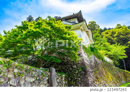 【重要伝統的建築物群保存地区】出石　初夏の出石城の風景2　兵庫県豊岡市 123497265