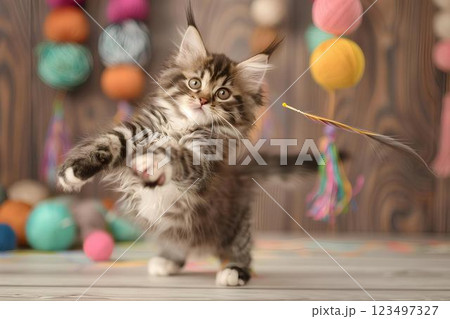 Playful Maine Coon Kitten Pouncing on a Feather Toy with Colorful Yarn Balls in the Background - Adorable Feline Action Shot 123497327