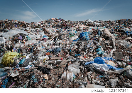 A large pile of city garbage at the landfill. Waste dump. Recycling concept 123497344