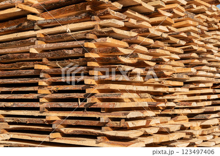 Timber processing at the sawmill. Woodworking industry 123497406