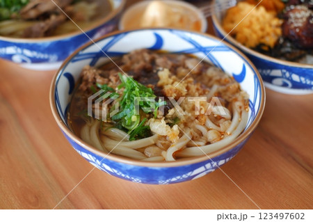 Savory Udon Noodles in Rich Broth 123497602