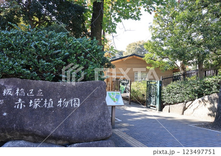板橋区赤塚の赤塚植物園 板橋区赤塚の赤塚植物園 123497751