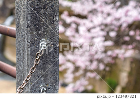 200412江名子川桜m026 200412江名子川桜m026 123497821