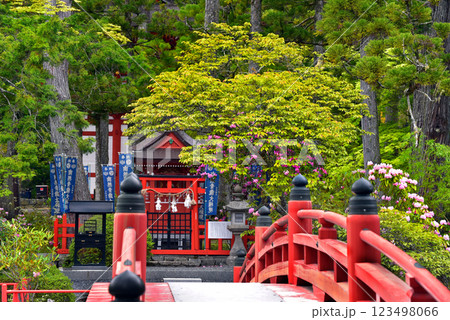 高野山壇上伽藍　善女龍王社と石楠花 123498066