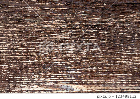 Close-up of textured wood surface showcasing intricate grooves and rich brown tones, perfect for interior design or artistic inspiration. 123498112