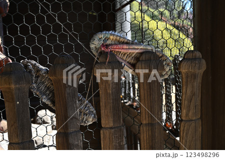 山門のわらじ 123498296