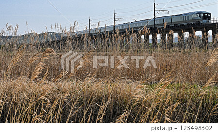 鹿島線の四季島 123498302