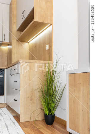 Cozy corner of room with kitchen and plant Cozy corner of room with kitchen and plant 123498589