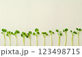 A row of green plants growing out of a white wall 123498715