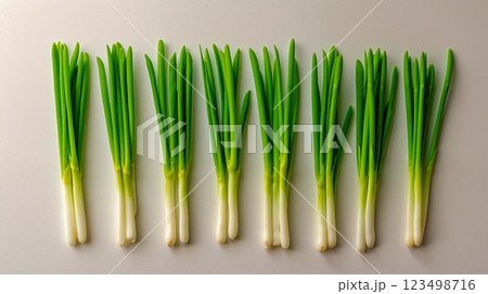 A bunch of green onions on a white surface A bunch of green onions on a white surface 123498716