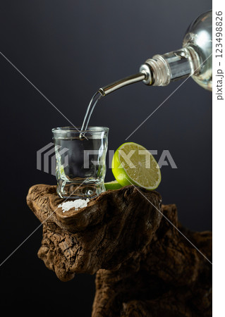 Tequila shot with lime and salt on a old snag. 123498826