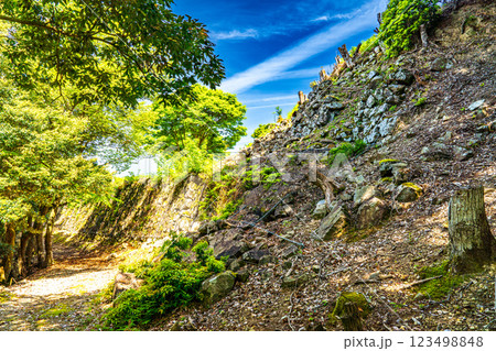 【続日本100名城】初夏の有子山城　第二曲輪の石垣1　兵庫県豊岡市出石町 123498848