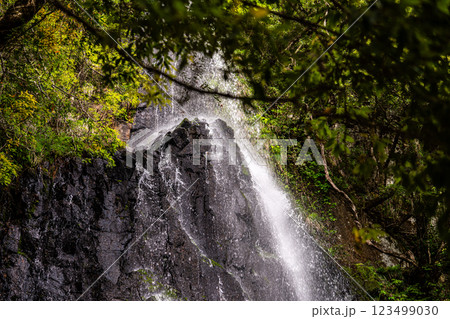 【日本の滝百選】初夏の猿尾滝の風景　上段9　兵庫県美方郡香美町 123499030